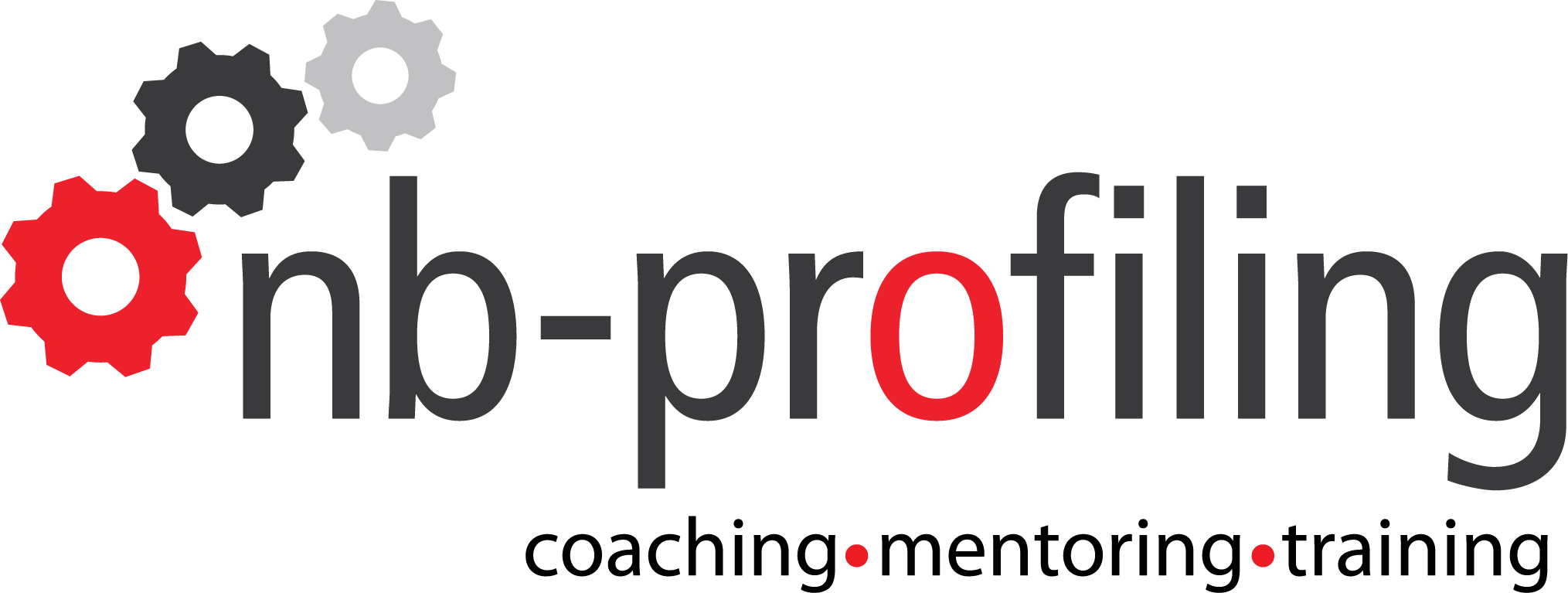 NB-Profiling GmbH Logo